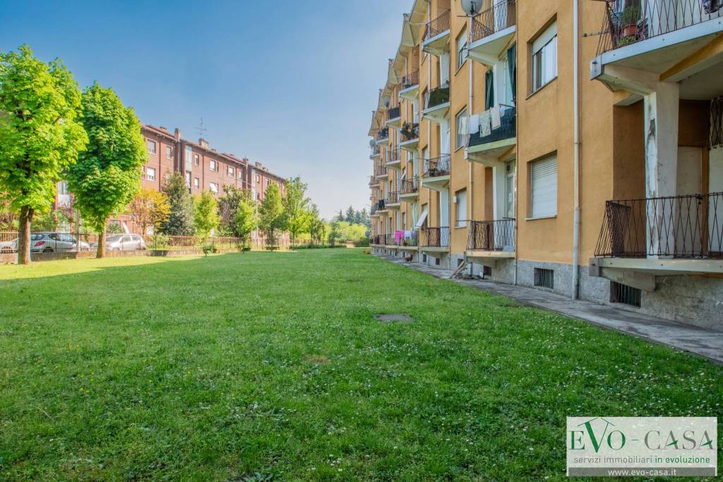 immagine annuncio 9 di 15