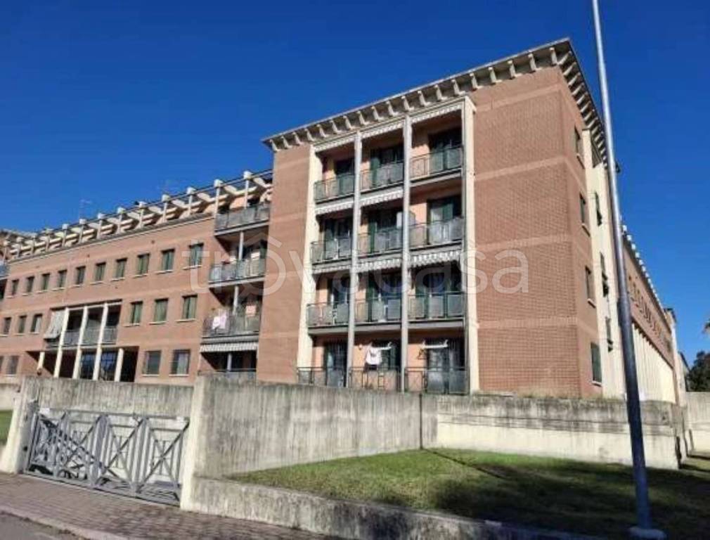 immagine annuncio 1 di 12