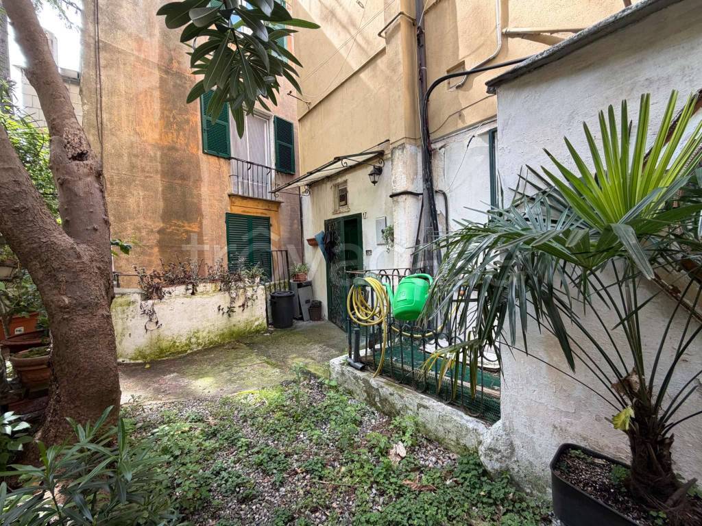 immagine annuncio 5 di 12