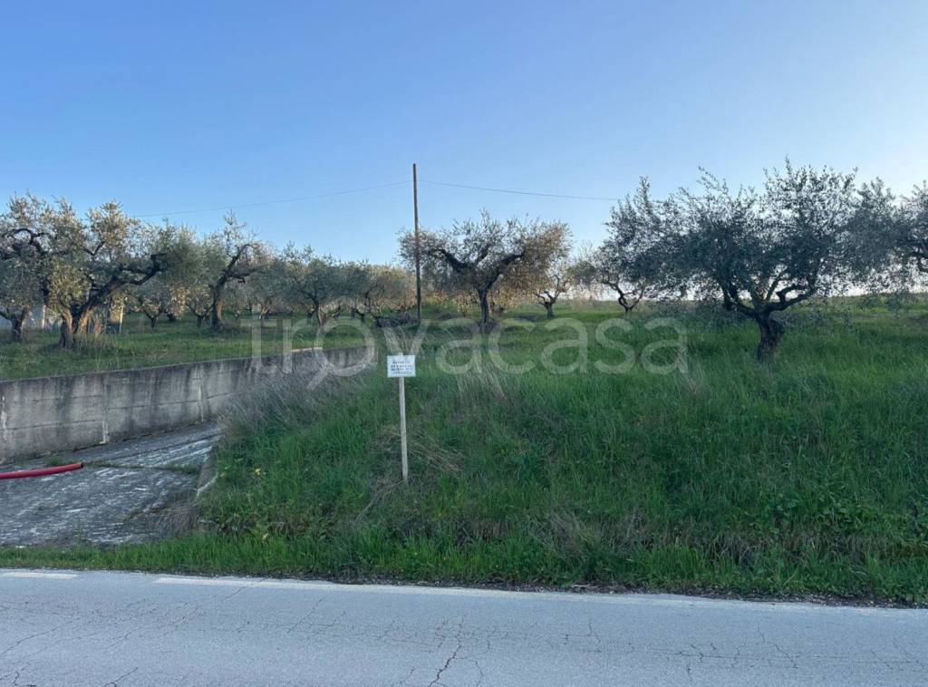 immagine annuncio 2 di 9