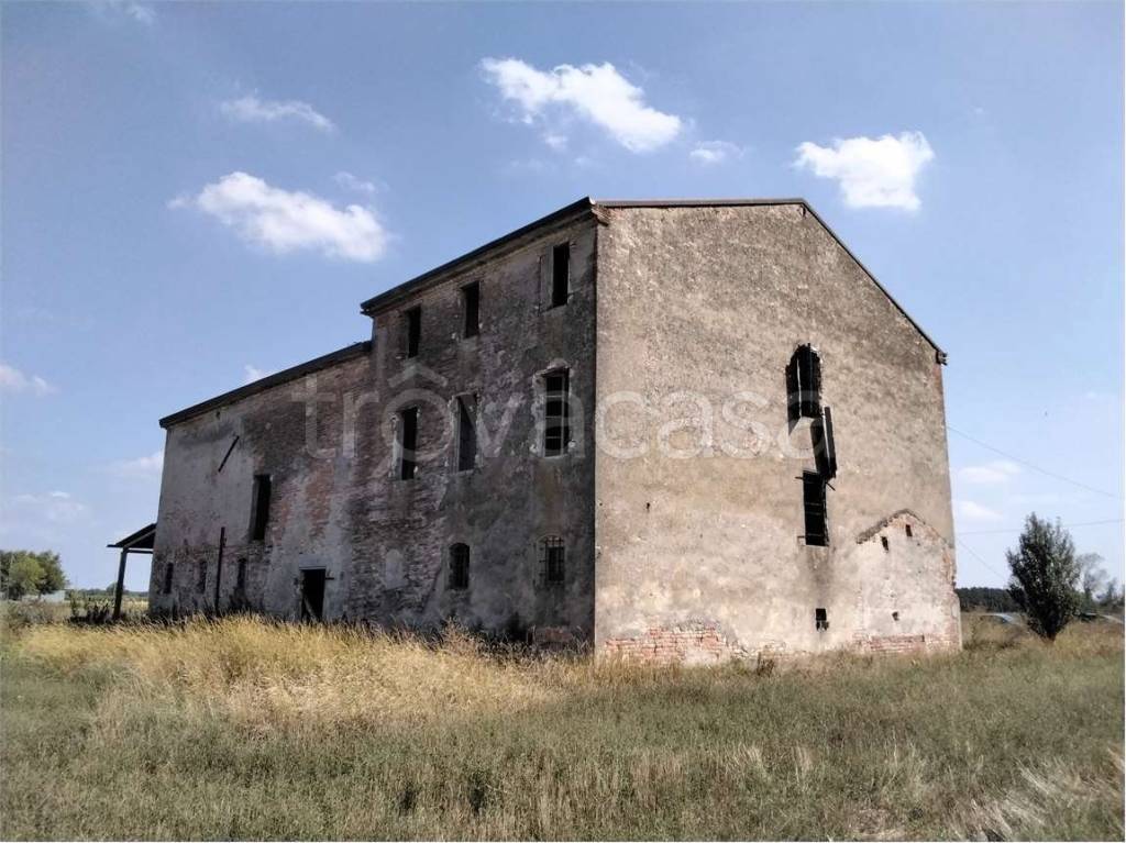 immagine annuncio 6 di 11