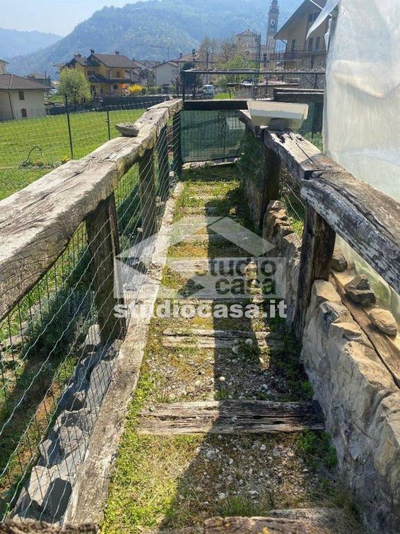 immagine annuncio 9 di 13