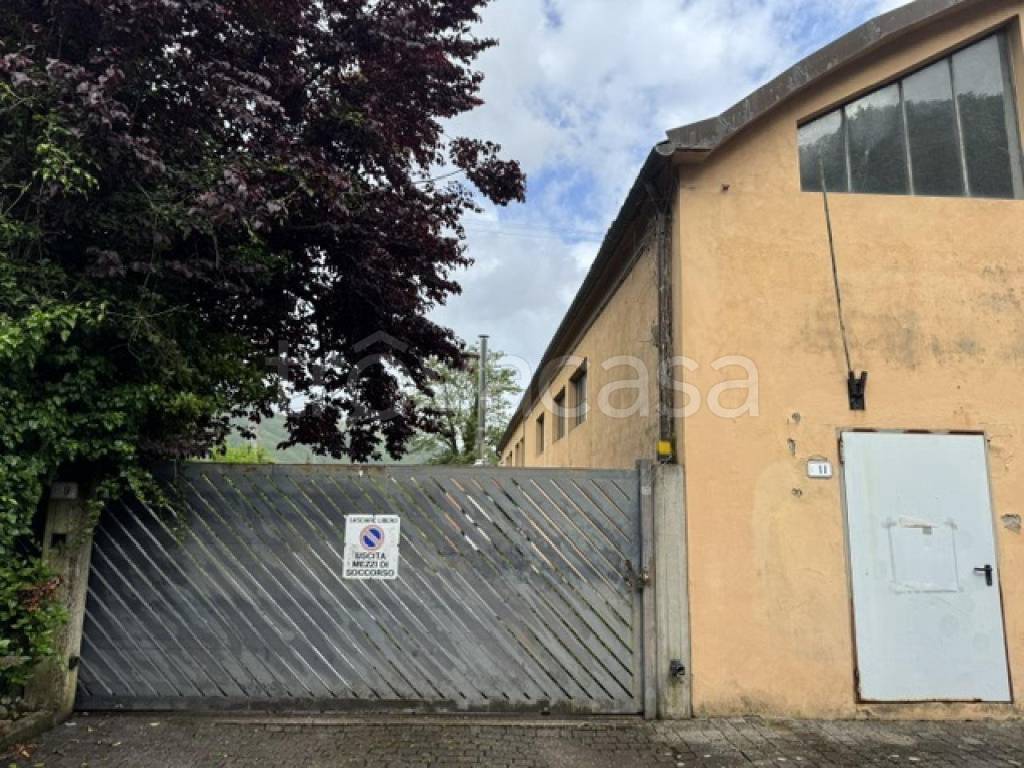 immagine annuncio 2 di 3