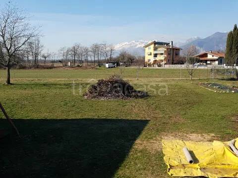 immagine annuncio 3 di 6
