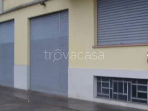 immagine annuncio 2 di 4