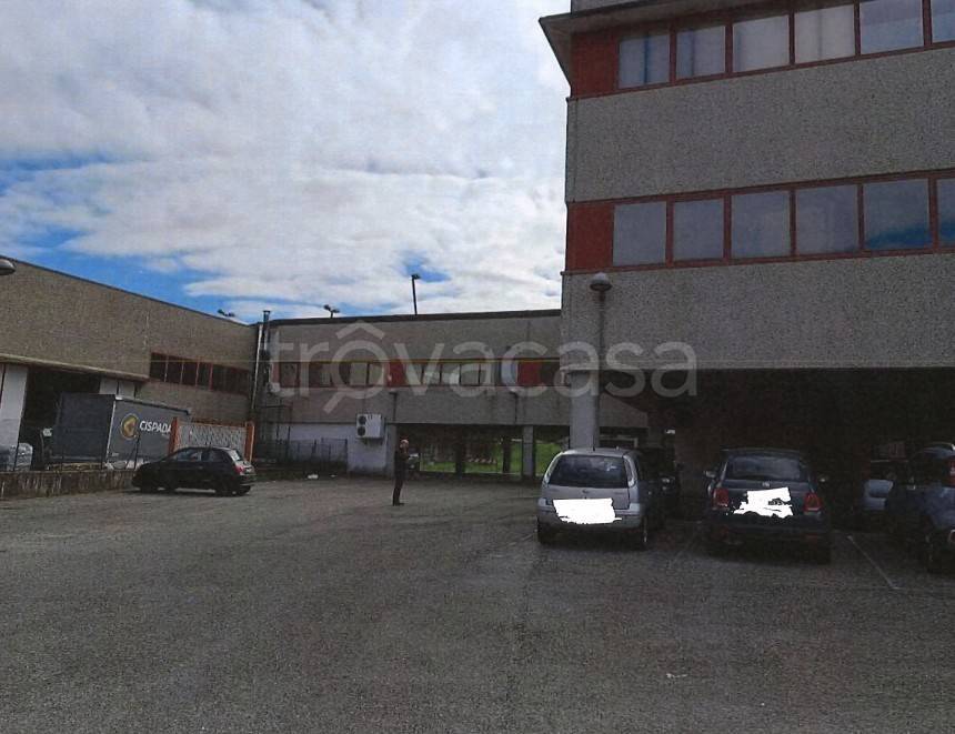 immagine annuncio 2 di 7