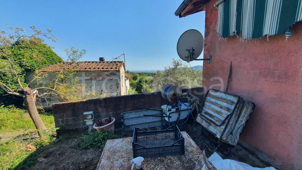 immagine annuncio 6 di 8