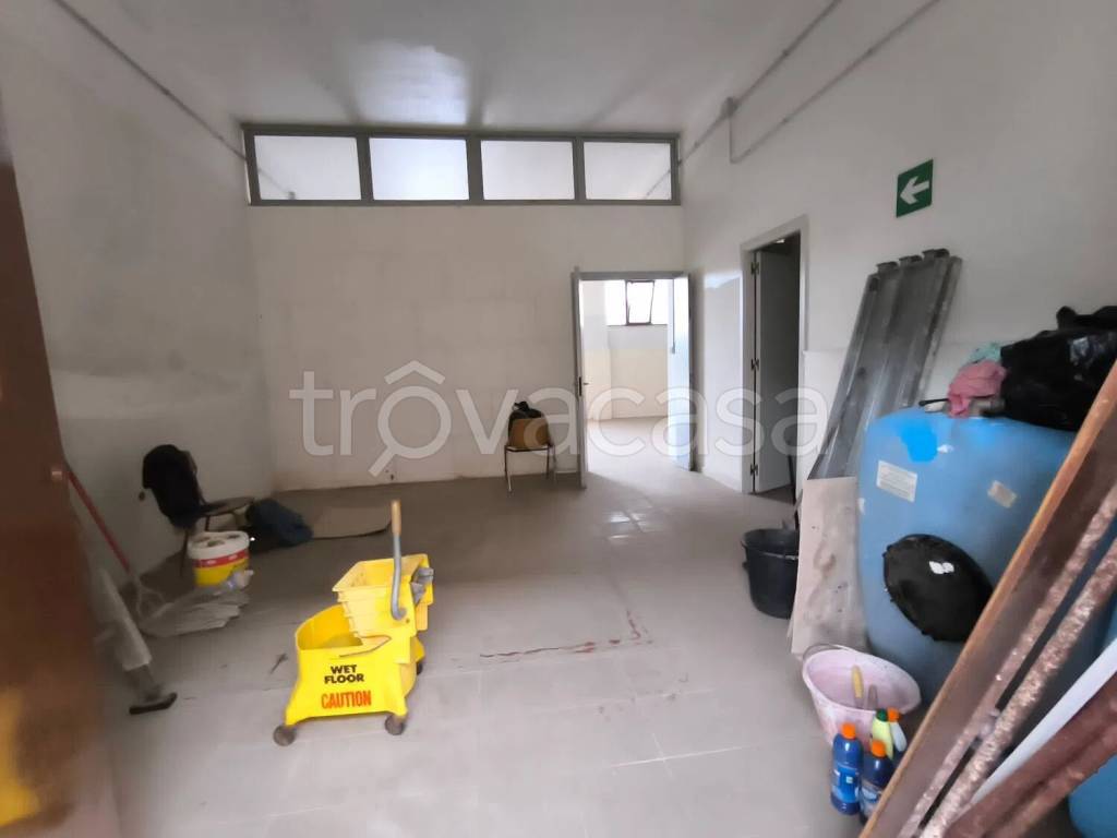 immagine annuncio 6 di 12