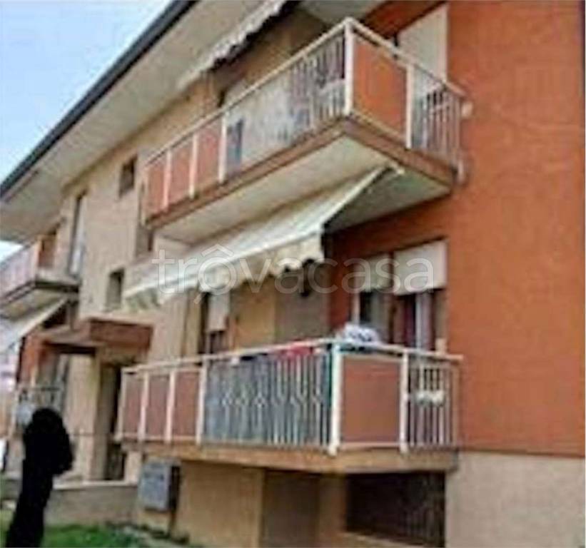 immagine annuncio 1 di 12