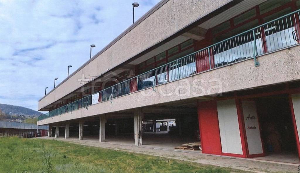 immagine annuncio 1 di 8
