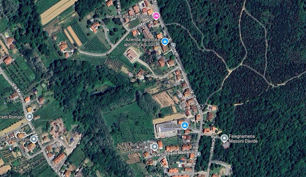 immagine annuncio 2 di 15
