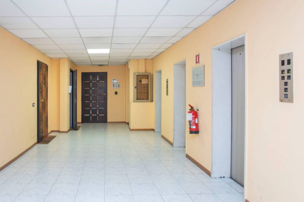 immagine annuncio 3 di 8