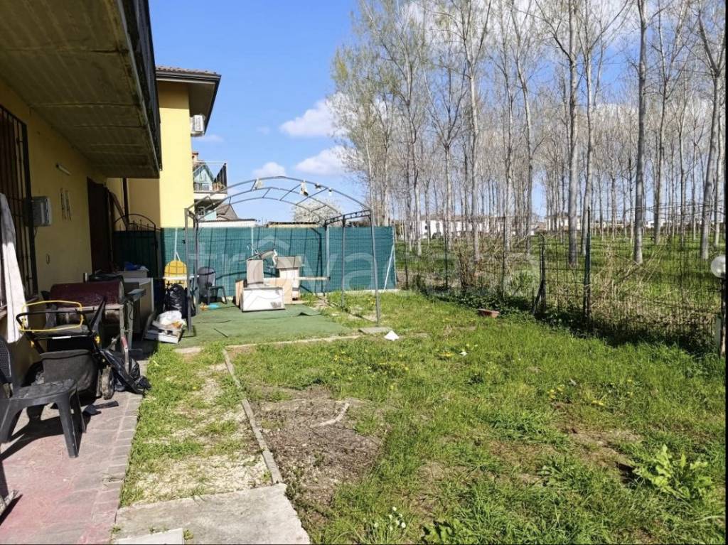 immagine annuncio 8 di 14