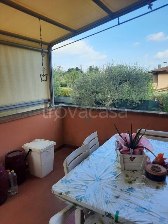 immagine annuncio 8 di 15