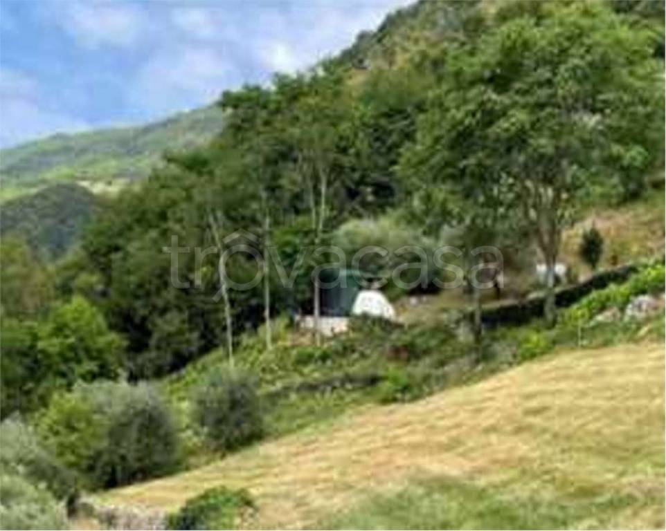 immagine annuncio 4 di 12