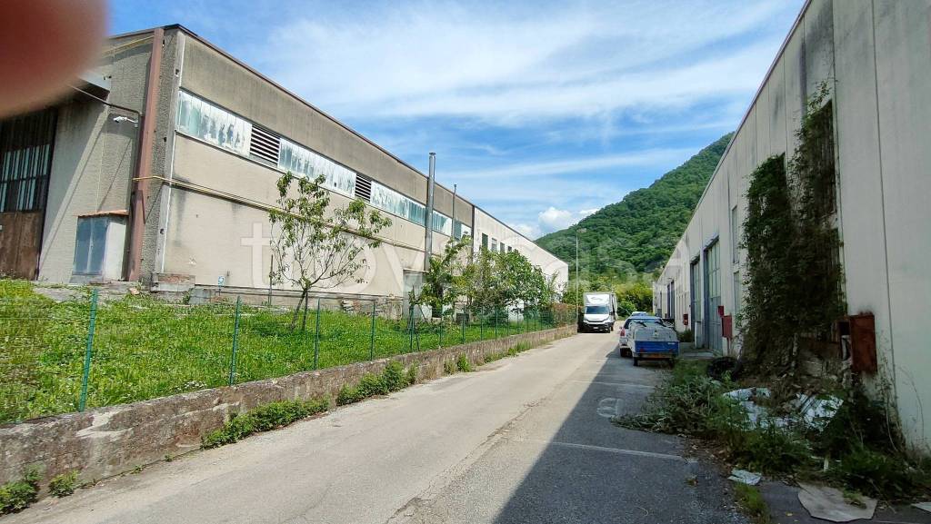 immagine annuncio 3 di 7