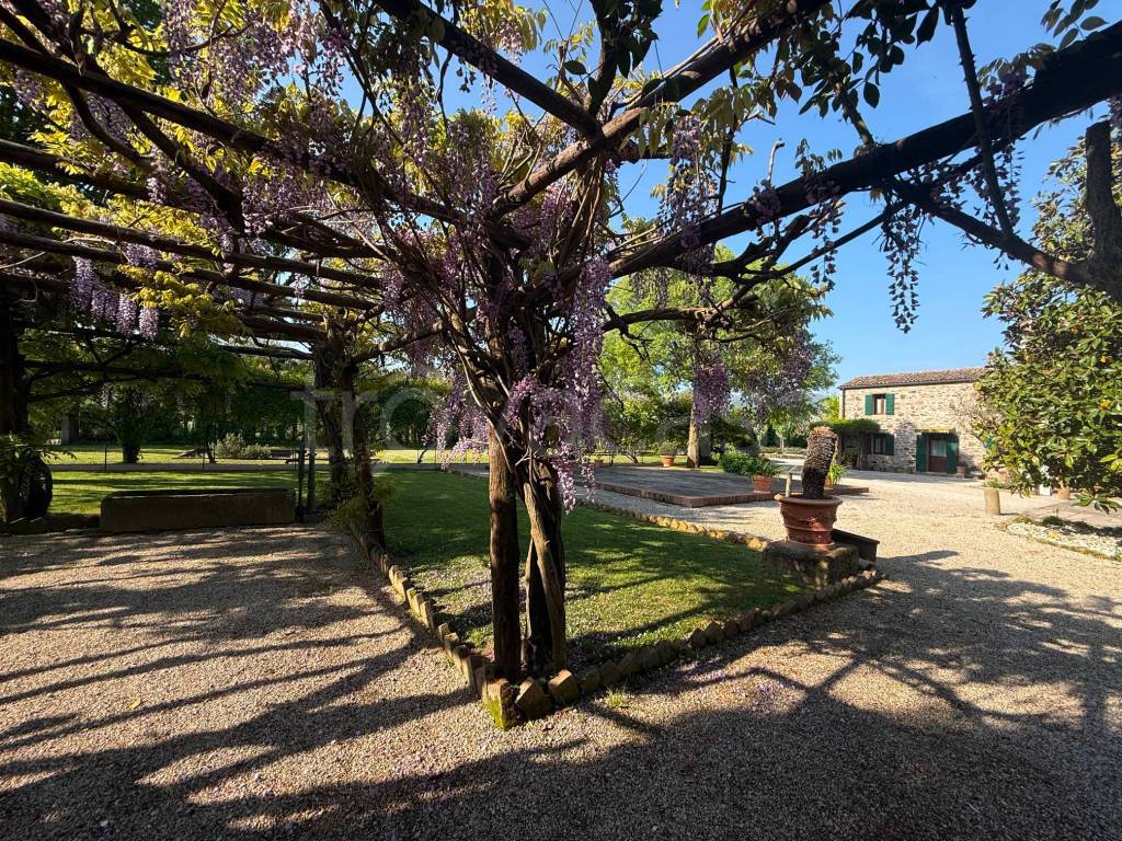 immagine annuncio 13 di 14
