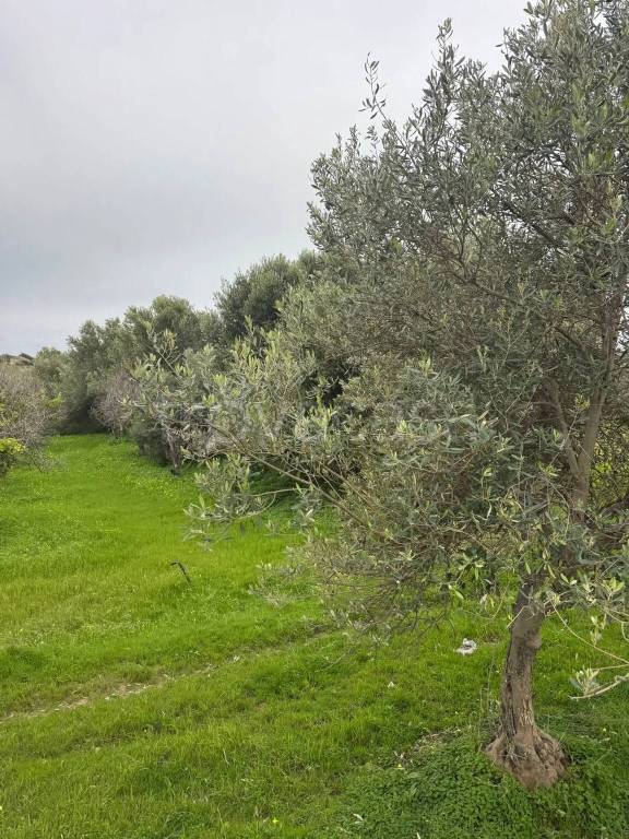 immagine annuncio 6 di 7
