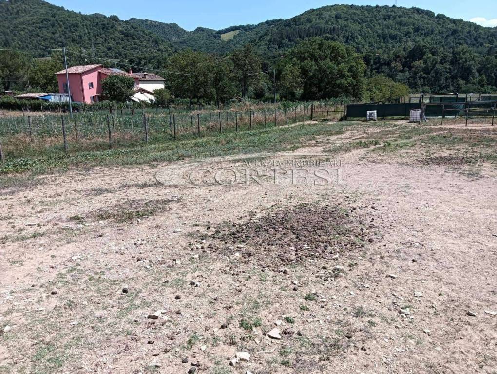 immagine annuncio 2 di 11