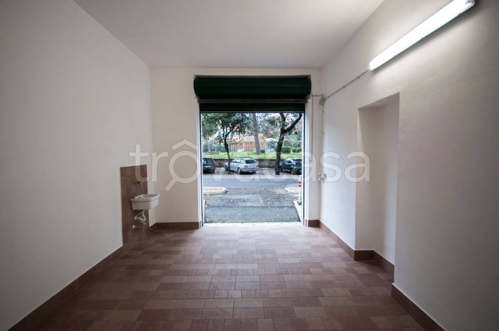 immagine annuncio 5 di 6