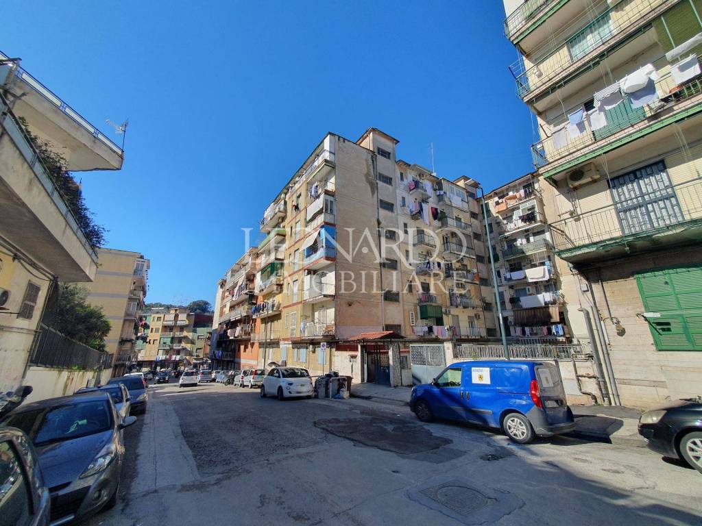immagine annuncio 11 di 14