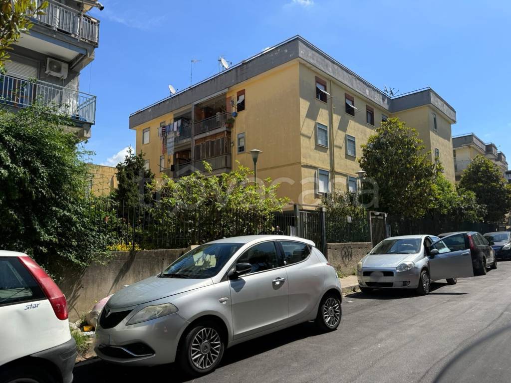 immagine annuncio 9 di 14