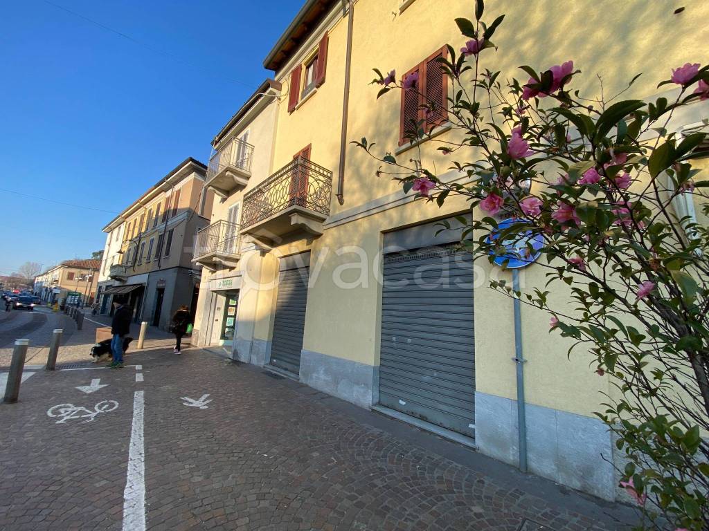 immagine annuncio 3 di 11