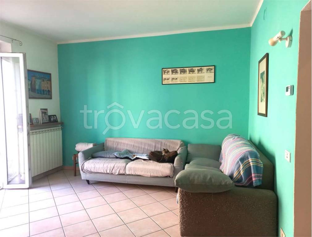 immagine annuncio 3 di 12