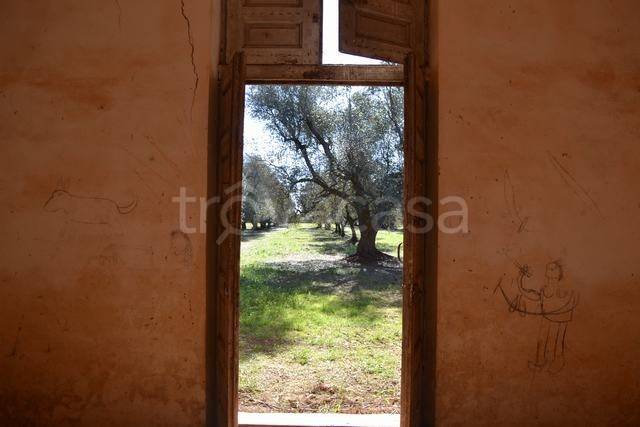 immagine annuncio 6 di 14