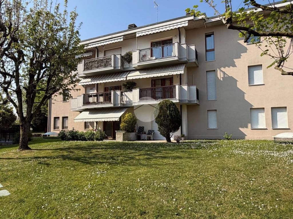 immagine annuncio 8 di 15