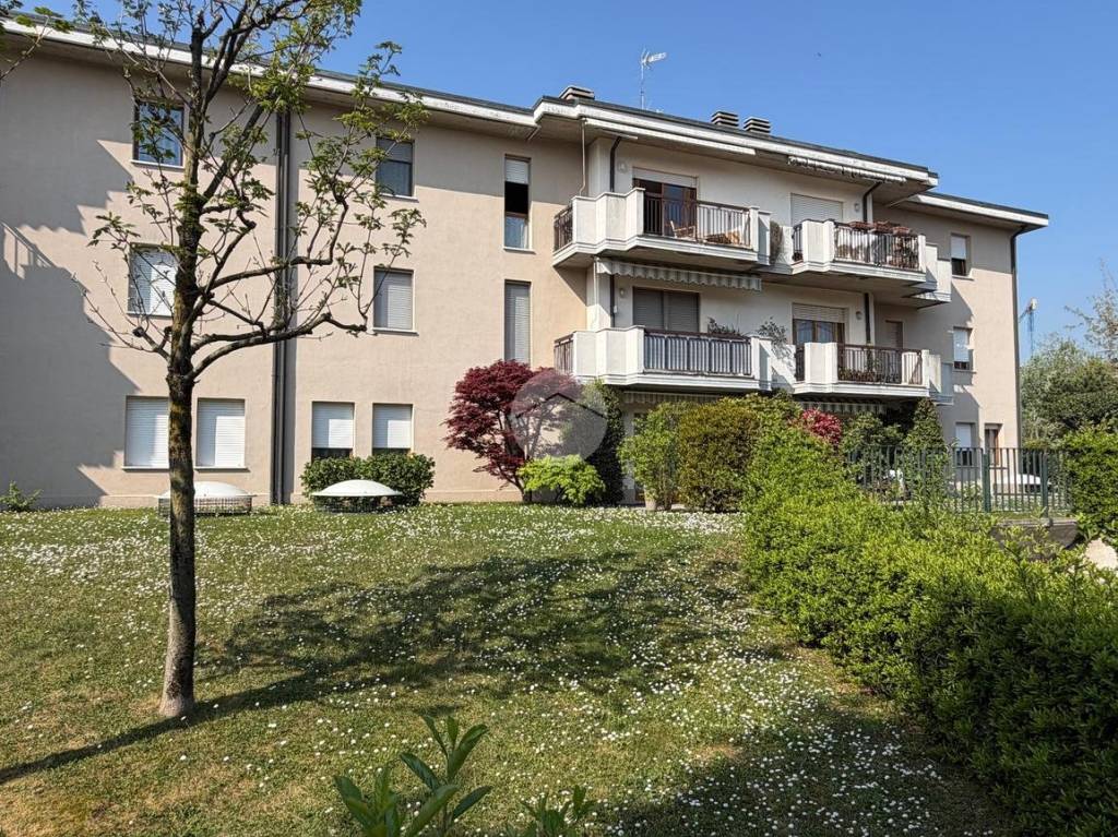 immagine annuncio 9 di 15