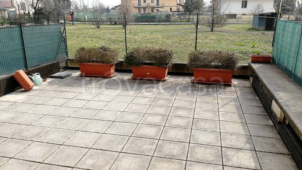 immagine annuncio 2 di 12