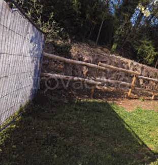 immagine annuncio 4 di 8