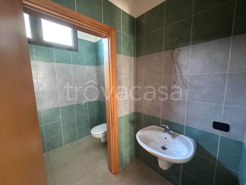 immagine annuncio 7 di 14