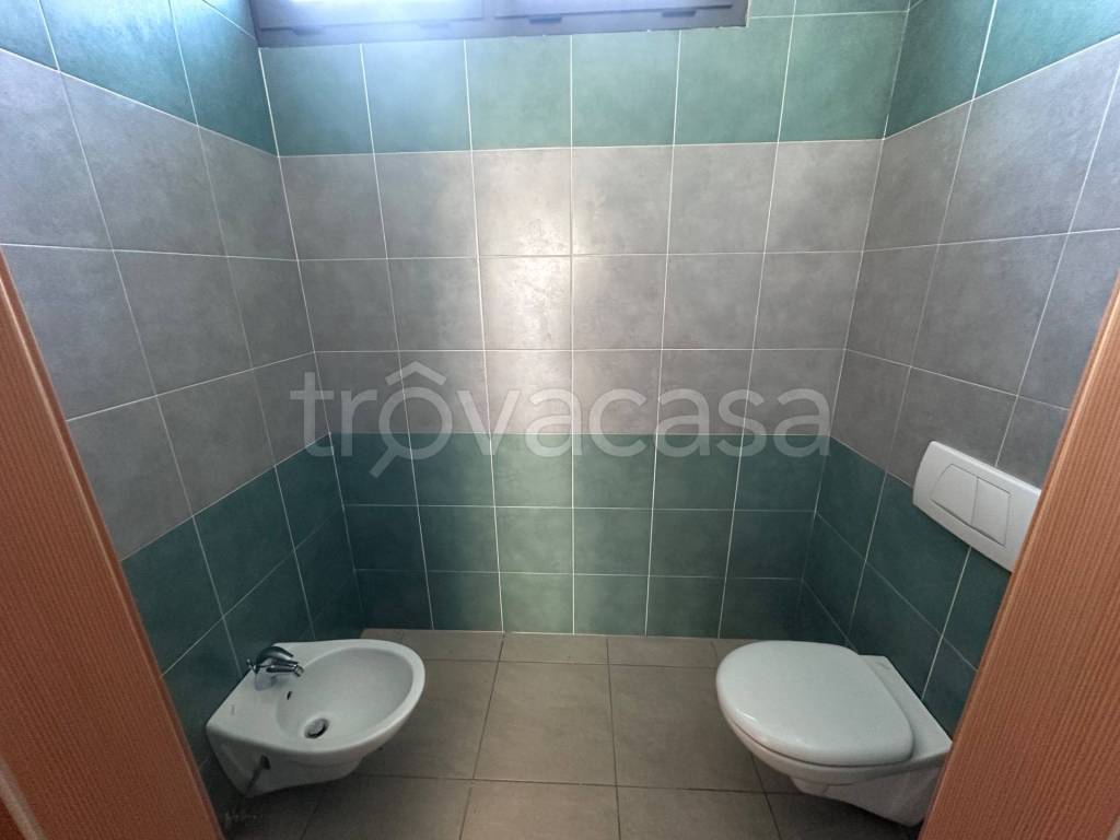 immagine annuncio 9 di 14