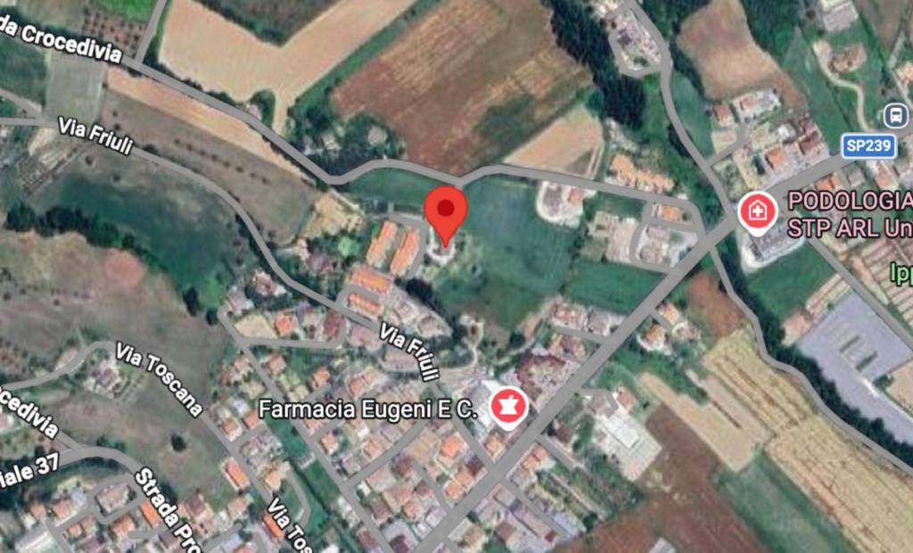 immagine annuncio 3 di 10