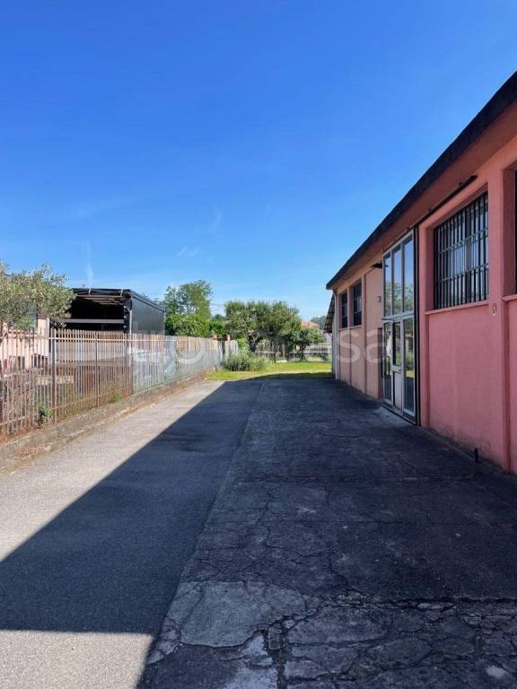 immagine annuncio 3 di 12
