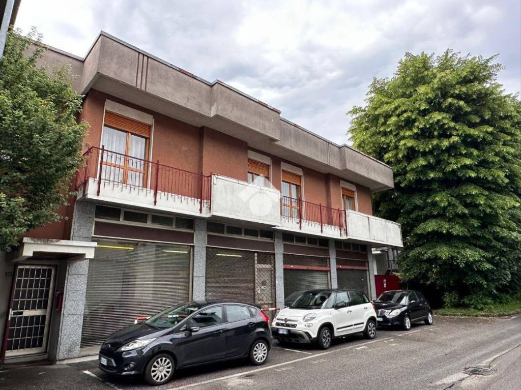 immagine annuncio 1 di 12