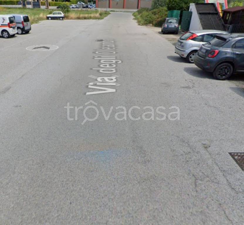immagine annuncio 7 di 11