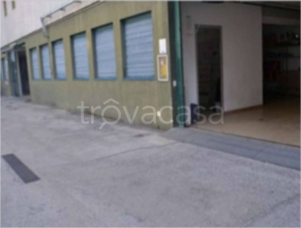 immagine annuncio 5 di 12