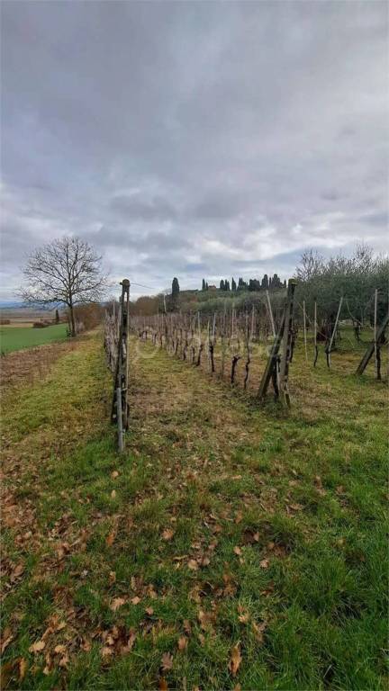 immagine annuncio 5 di 7