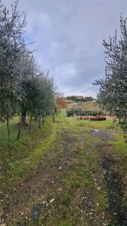 immagine annuncio 6 di 7