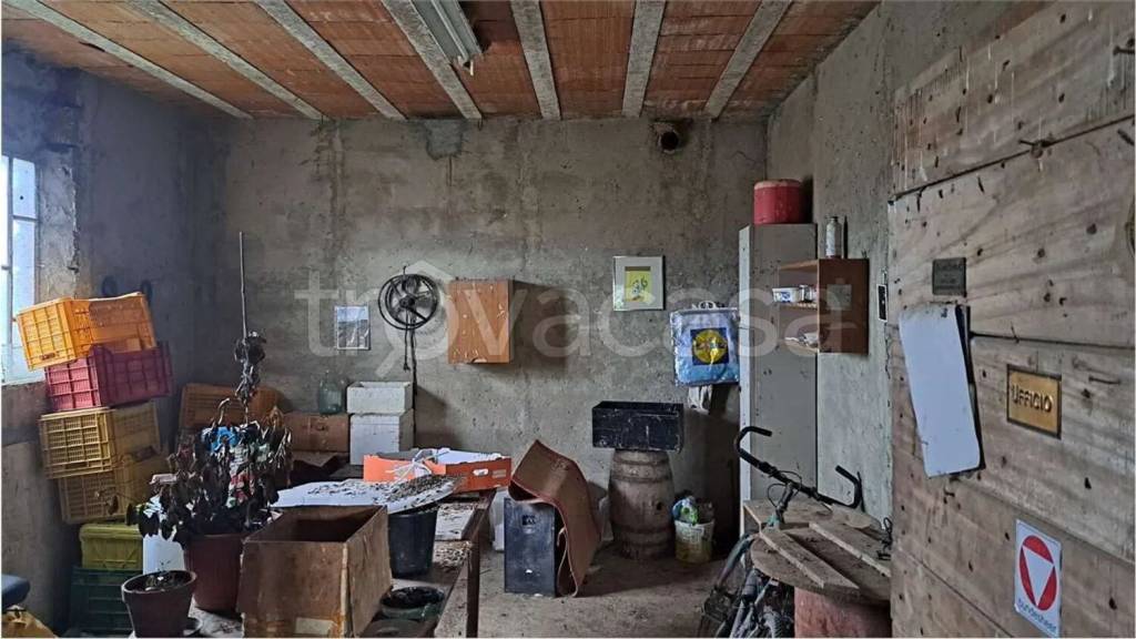 immagine annuncio 5 di 8