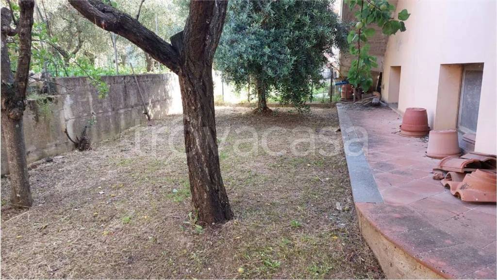 immagine annuncio 2 di 14