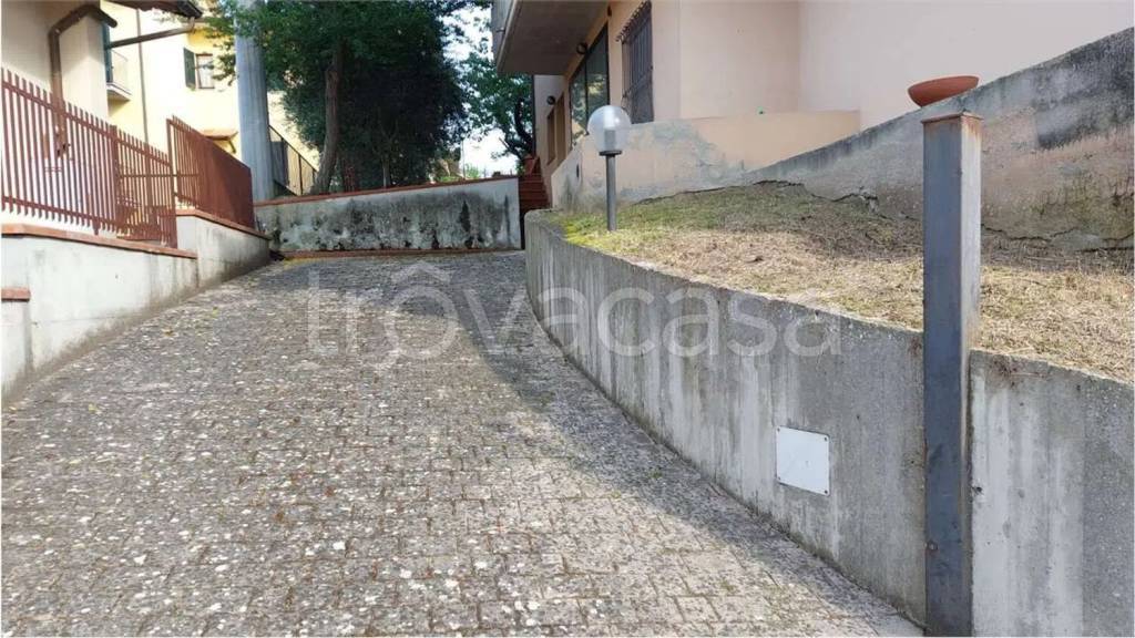 immagine annuncio 5 di 14