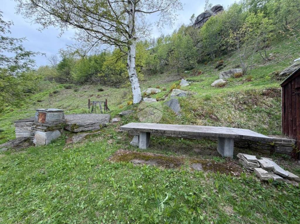 immagine annuncio 3 di 11