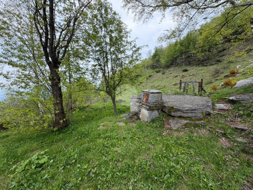 immagine annuncio 8 di 11