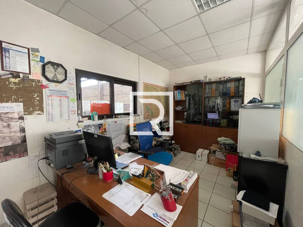 immagine annuncio 7 di 13