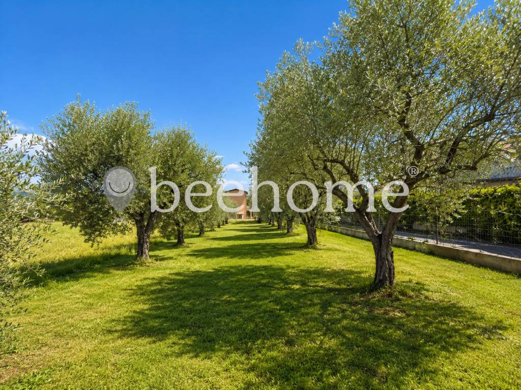 immagine annuncio 3 di 7