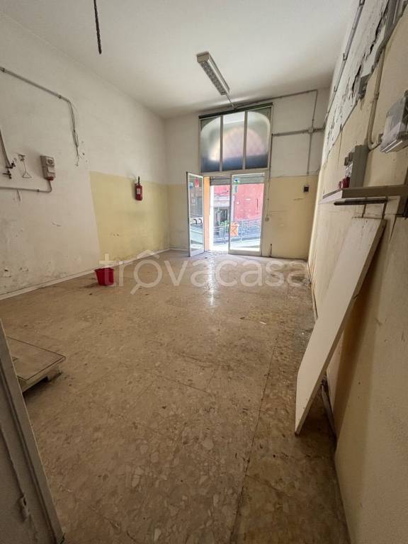 immagine annuncio 2 di 14